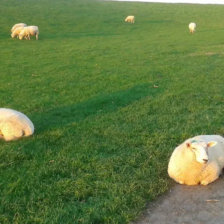 Feriehus Luxus Mit Ueberdachter Terrasse, Lage *