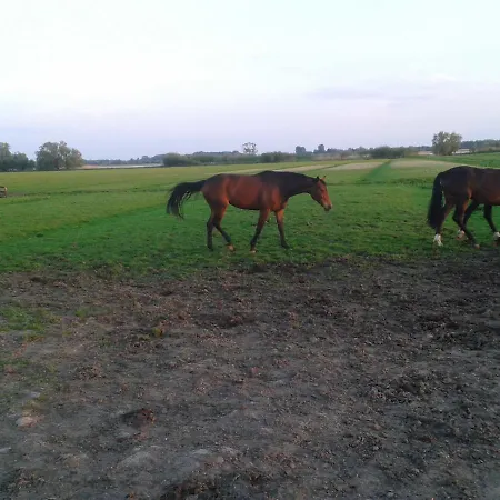 Feriehus Luxus Mit Ueberdachter Terrasse, Lage *