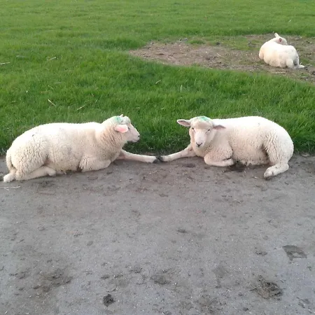 Luxus Mit Ueberdachter Terrasse, Lage * Kollmar