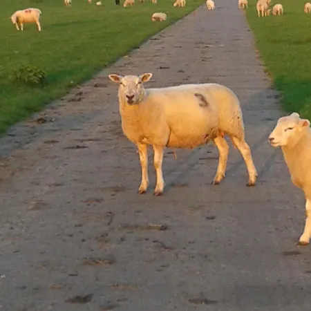 Luxus Mit Ueberdachter Terrasse, Lage Feriehus *