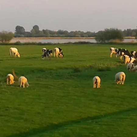 Luxus Mit Ueberdachter Terrasse, Lage Feriehus