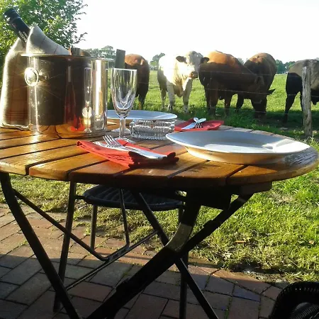 Luxus Mit Ueberdachter Terrasse, Lage * Kollmar