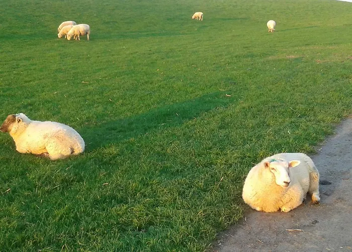 Nyaraló Luxus Mit Ueberdachter Terrasse, Lage *