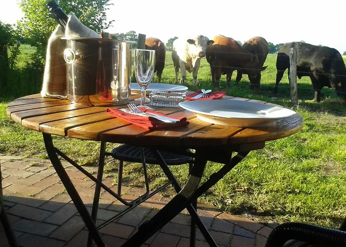 Luxus Mit Ueberdachter Terrasse, Lage * Kollmar